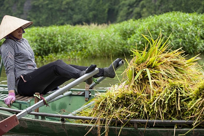 boat trip in Tam Coc